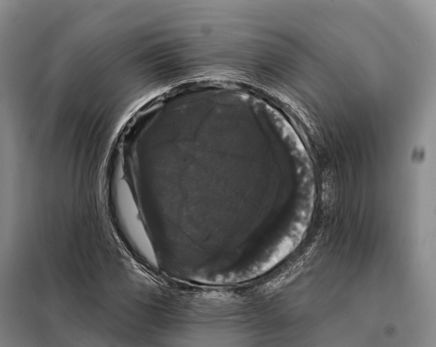 X0000098011117200804251108