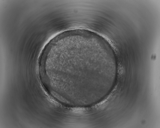 X0000098011118200804251108