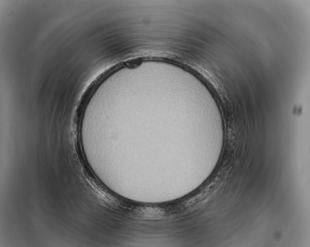 X0000098011119200804251108