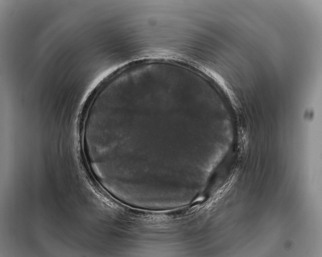 X0000098011120200804251108