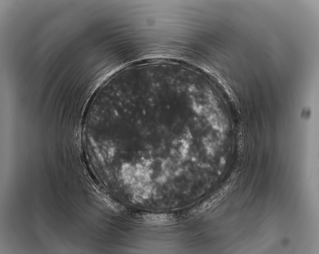 X0000098011121200804251108