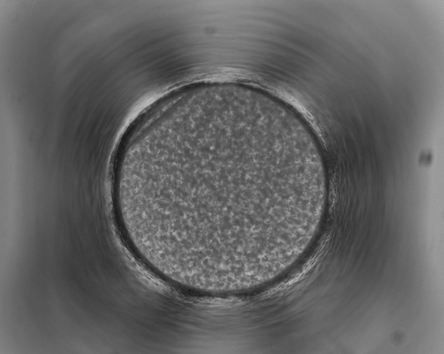 X0000098011122200804251108