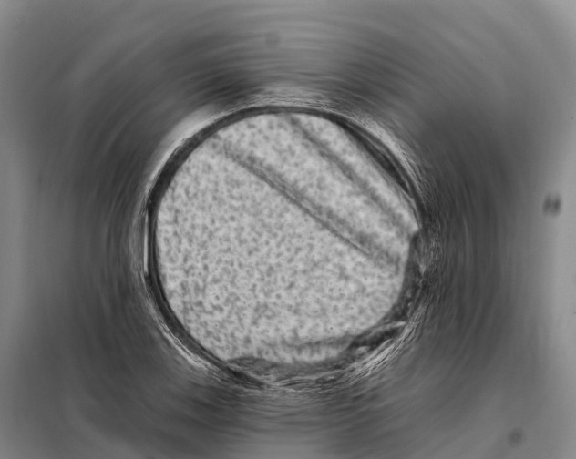 X0000098011123200804251108