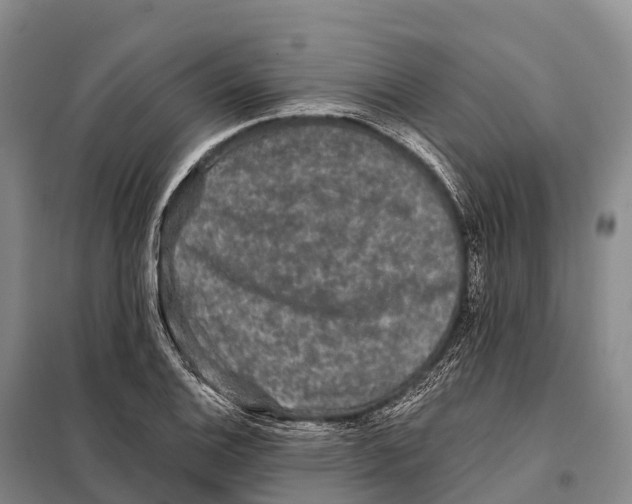 X0000098011124200804251108