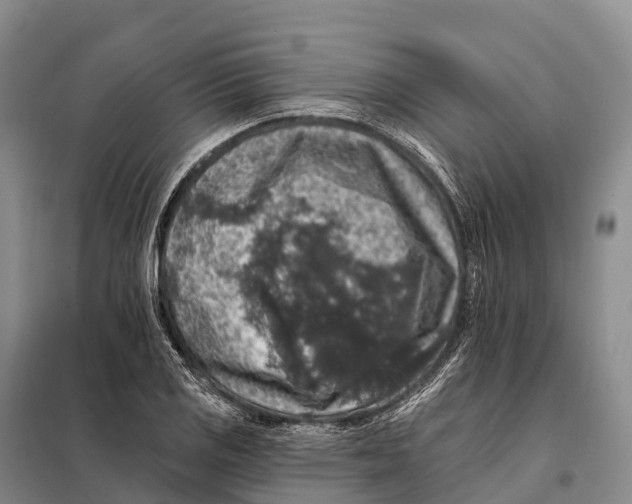 X0000098011125200804251108