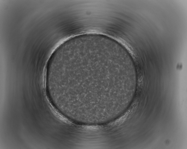 X0000098011126200804251108