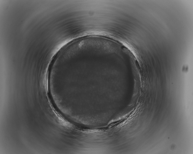 X0000098011127200804251108