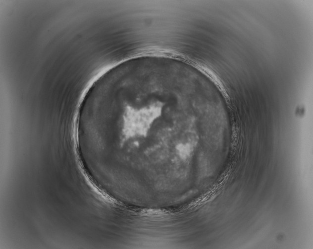 X0000098011128200804251108