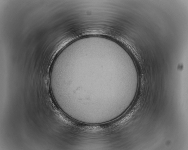 X0000098011129200804251108