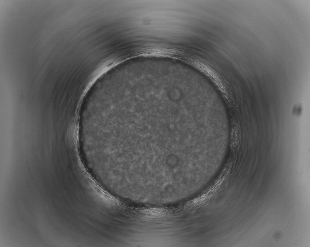 X0000098011130200804251108