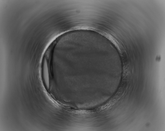 X0000098011132200804251108