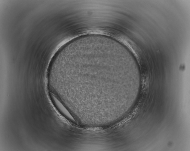 X0000098011133200804251108