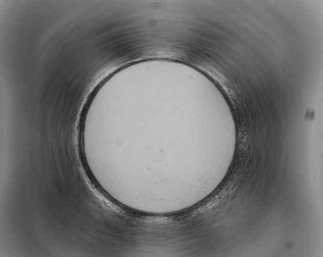 X0000098011135200804251108