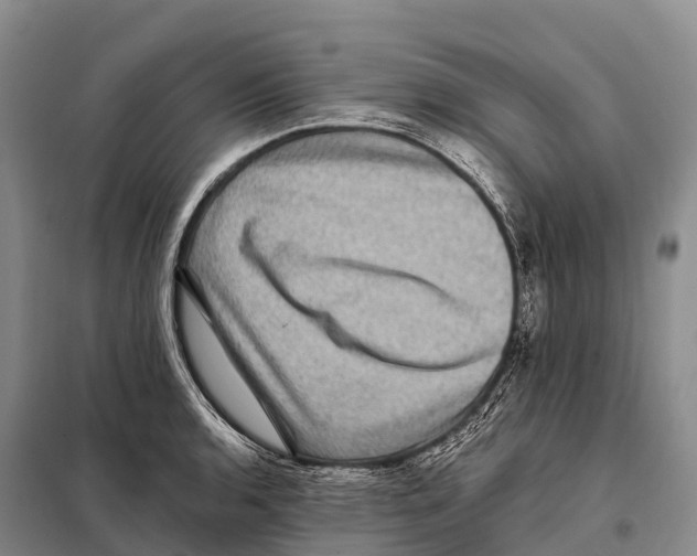 X0000098011136200804251108