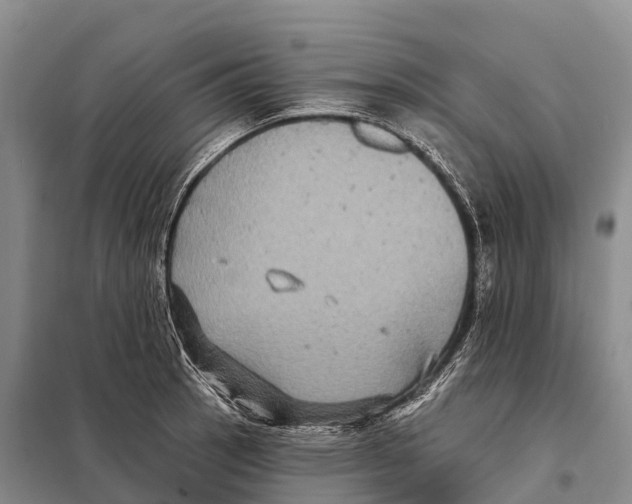 X0000098011137200804251108