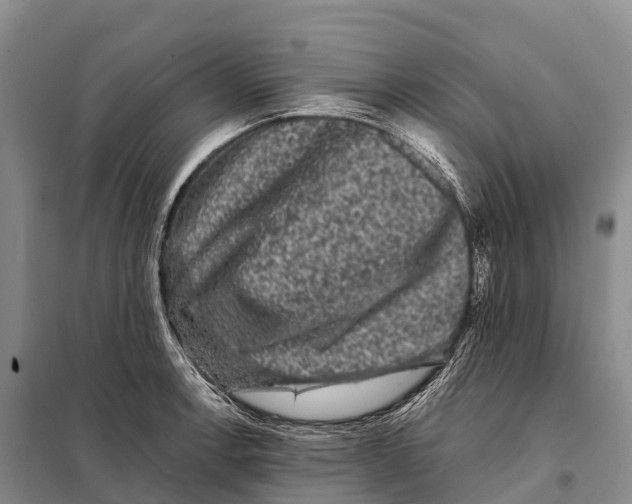 X0000098011138200804251108