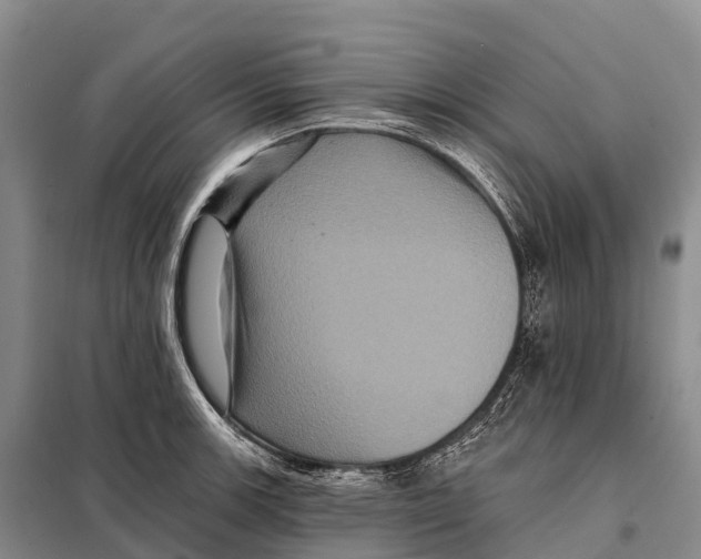 X0000098011139200804251108