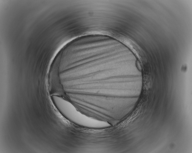 X0000098011140200804251108