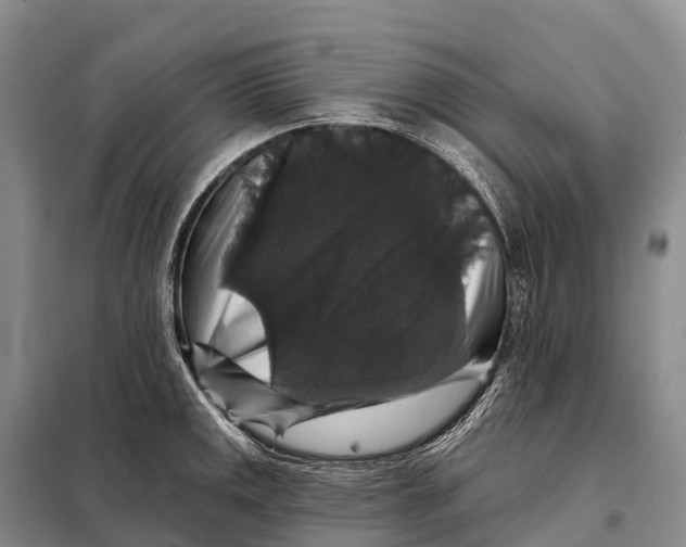 X0000098011141200804251108