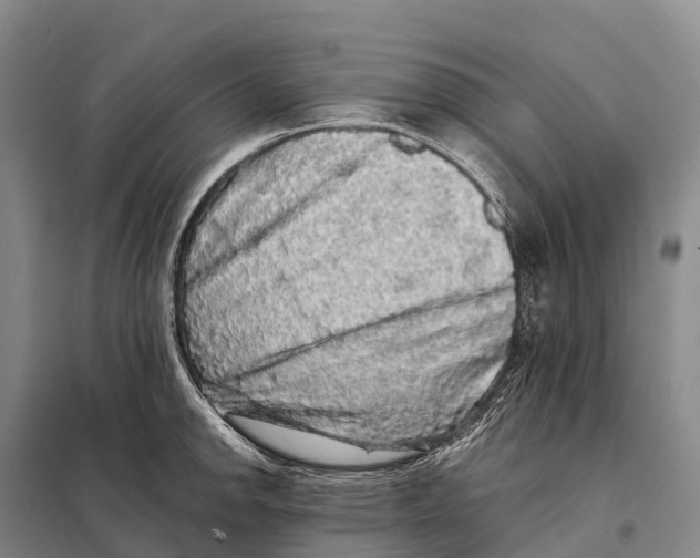 X0000098011142200804251108