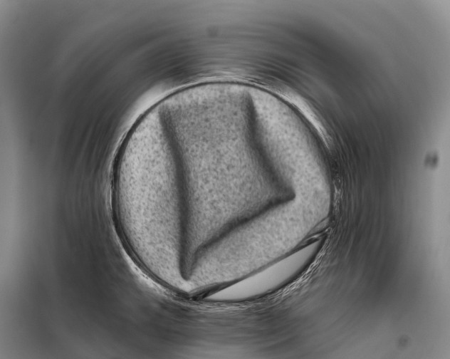 X0000098011143200804251108