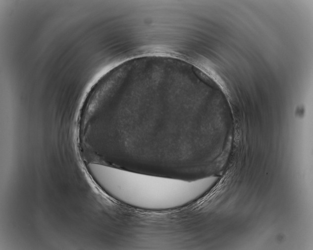 X0000098011144200804251108