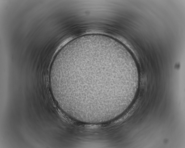 X0000098011145200804251109