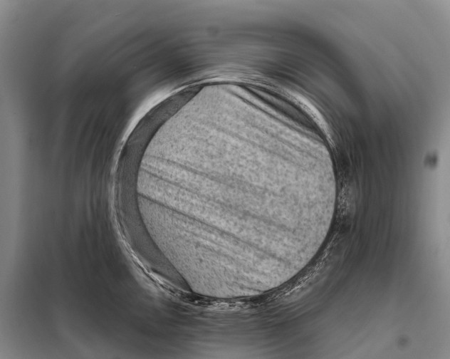 X0000098011146200804251109