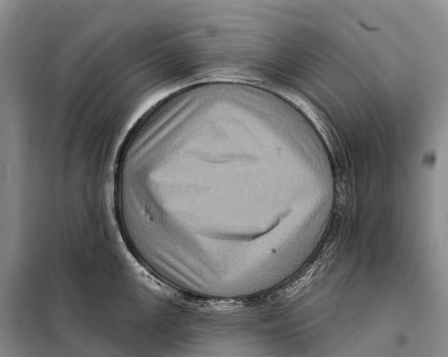 X0000098011147200804251109