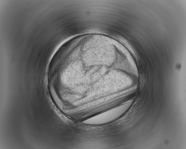 X0000098011148200804251109