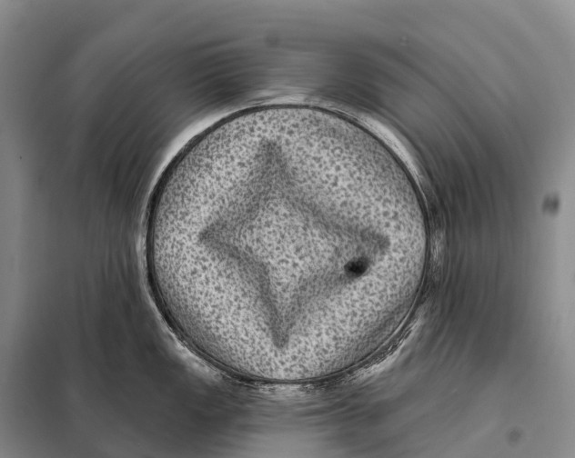 X0000098011149200804251109