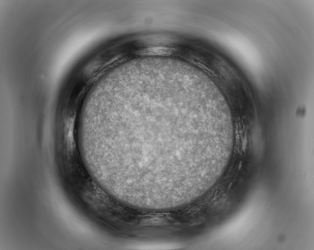 X0000098011150200804251109