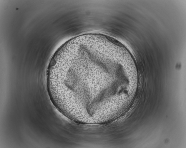 X0000098011151200804251109