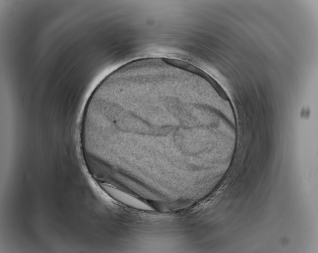 X0000098011152200804251109