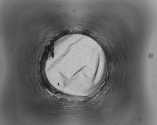 X0000098011153200804251108