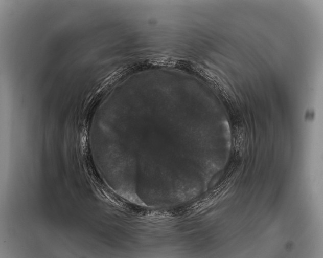 X0000098011154200804251108