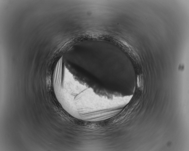 X0000098011155200804251108