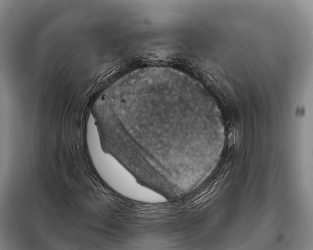 X0000098011156200804251108