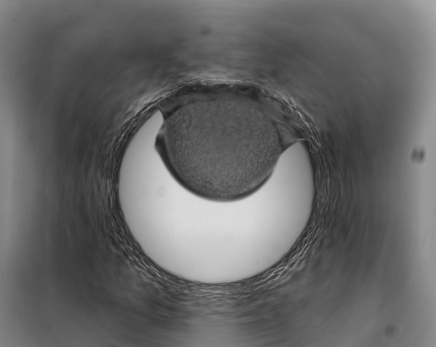 X0000098011157200804251108