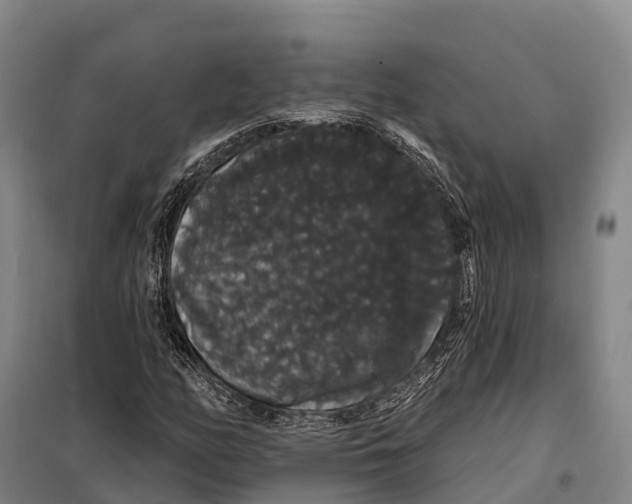 X0000098011158200804251108