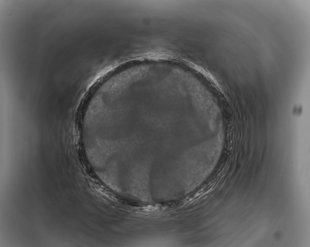 X0000098011160200804251108