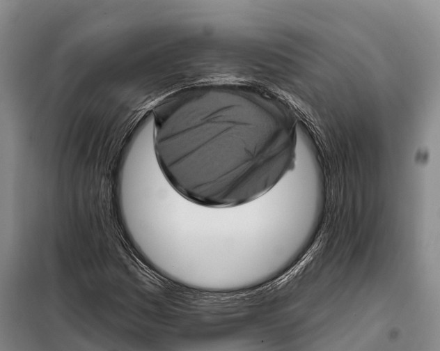 X0000098011161200804251108