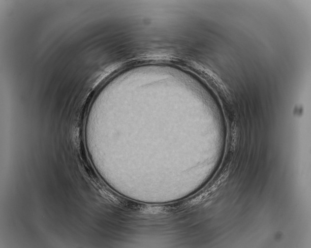 X0000098011162200804251108