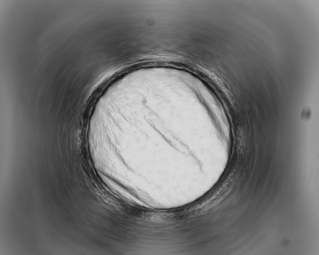 X0000098011163200804251108