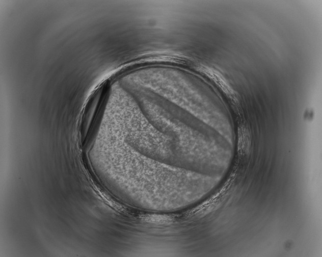 X0000098011164200804251108