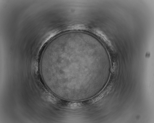 X0000098011165200804251108