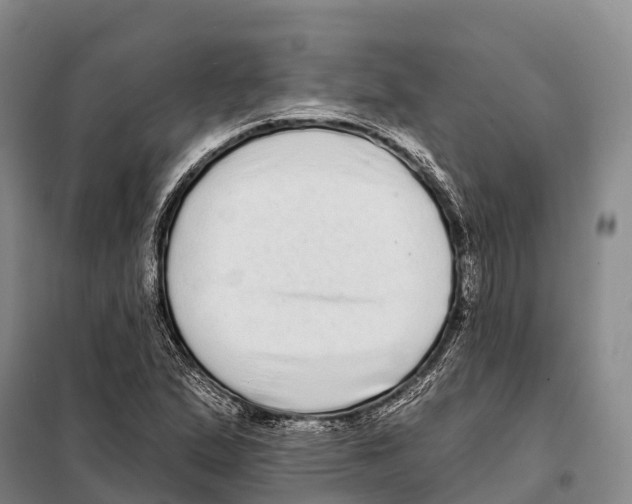 X0000098011167200804251108