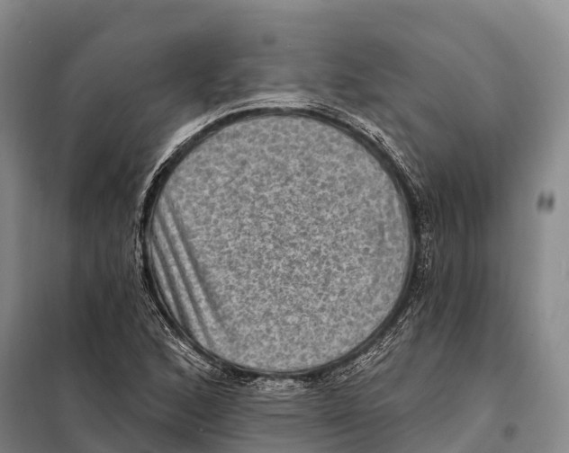 X0000098011168200804251108