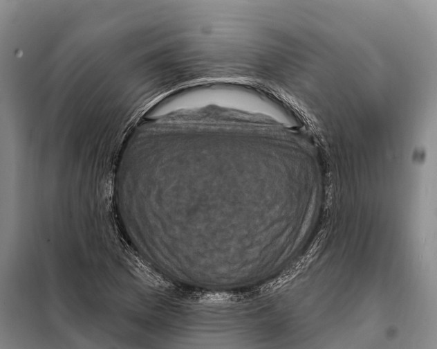 X0000098011169200804251108