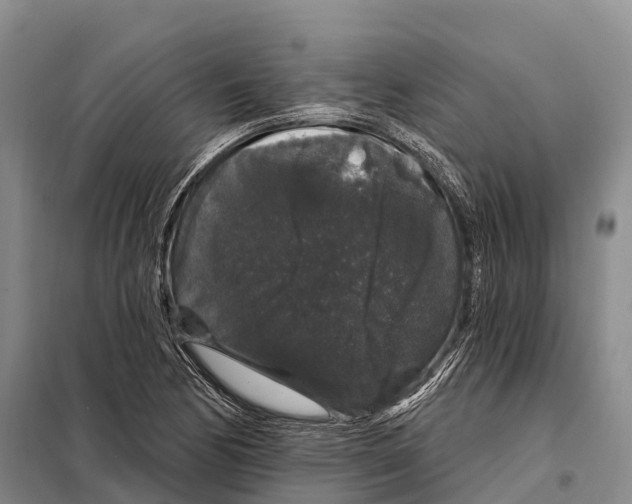 X0000098011170200804251108